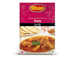 SHAN PAYA MASALA 120G